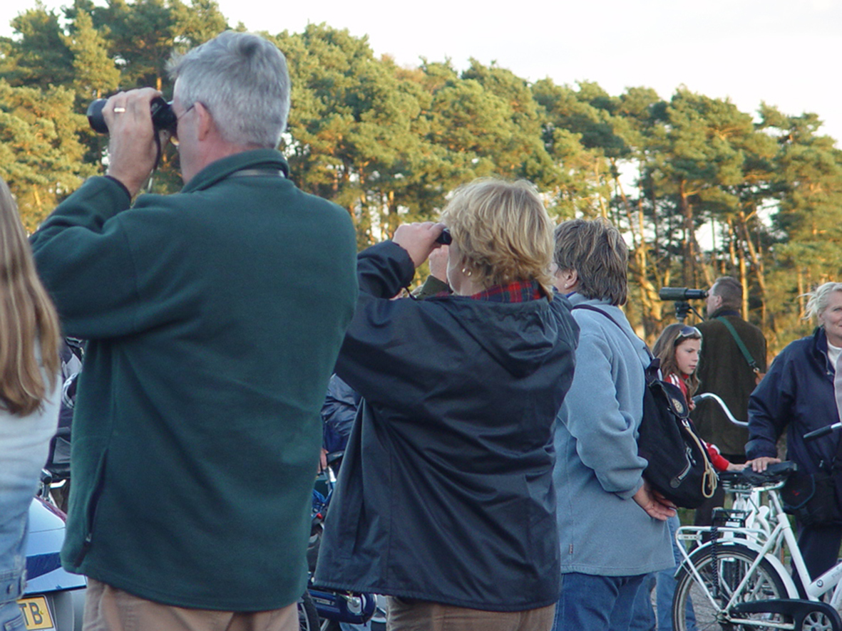 wild-spotten-Hoge-Veluwe-idbbo